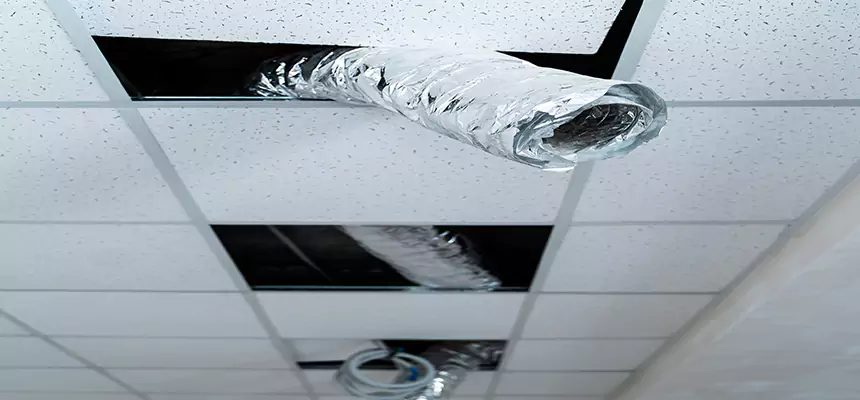 Our Air Duct Pet Hair Removal Services in Lafayette, IN