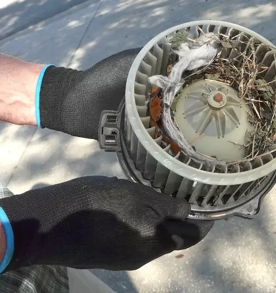 About Air Duct Rat Removal in Lafayette, IN