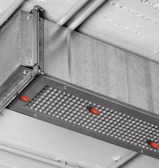 Affordable Insect Removal from Air Ducts in Lafayette, IN