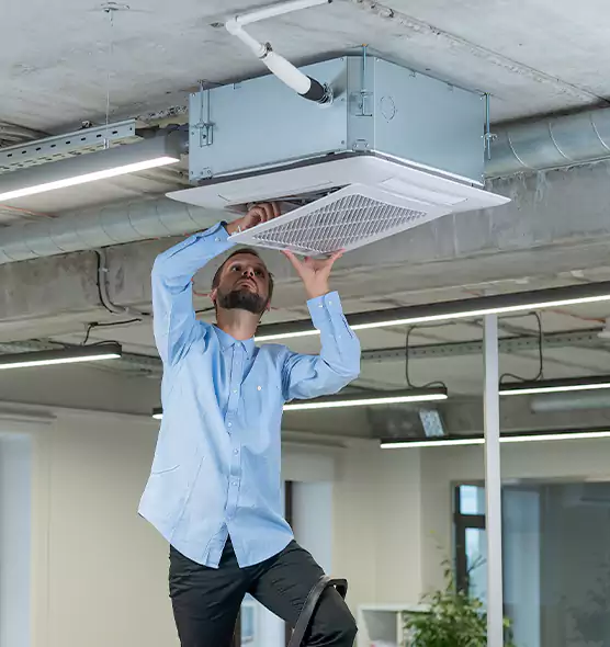 Advanced Rodent Droppings In Vents in Lafayette, IN