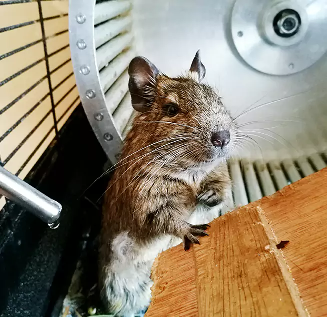 Why Homeowners & Businesses Trust Us Lafayette, IN